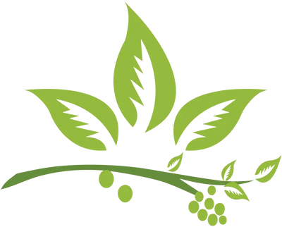 Organic Aloe Vera